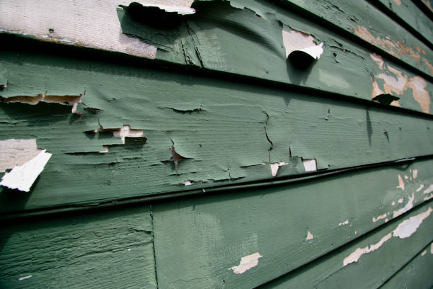 Best Construction Debris Removal  in Allison, IA
