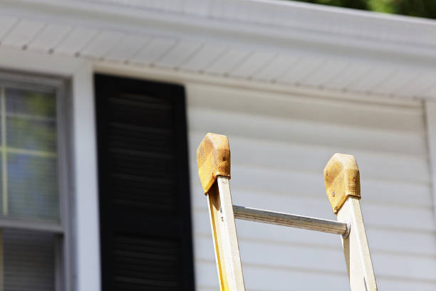 Professional Junk Removal in Allison, IA